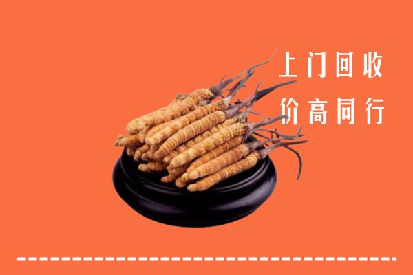 高价求购：霸州市回收散虫草